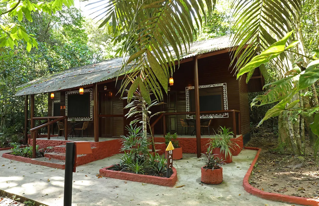 Amazon Ecopark Jungle Lodge-1